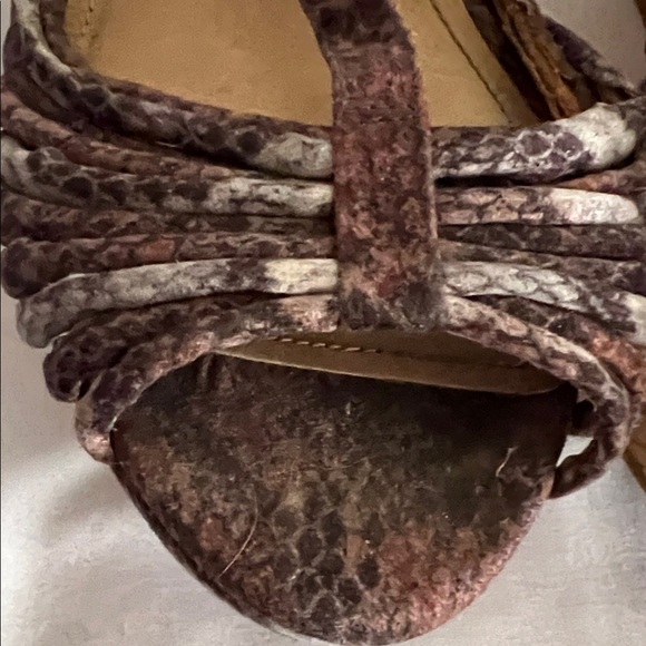 H&M Brown and Tan Strappy Sandals, Size 8 - Picture 2 of 14